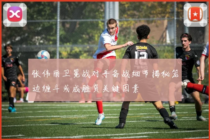 张伟丽卫冕战对手备战细节揭秘笼边缠斗或成胜负关键因素